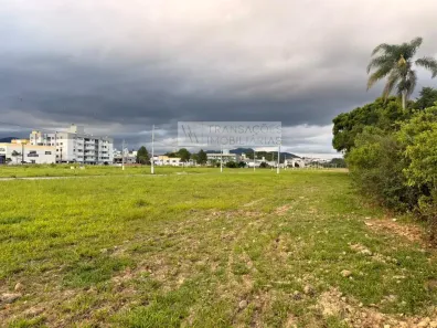 Lote/Terreno à venda, 3599m² no Sertão do Maruim, São José