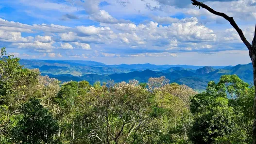 Lote/Terreno à venda, 29500m² no , Gonçalves