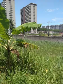 Lote/Terreno à venda, 30000m² no Jacarepaguá, Rio de Janeiro