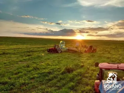 Fazenda/Sítio com 3 Quartos à venda, 8000m² no , Primavera do Leste