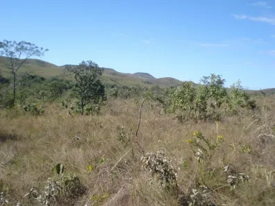 Lote/Terreno à venda, 2500m² no Setor de Habitações Individuais Sul, Brasília