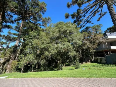 Lote/Terreno à venda, 595m² no Centro, Canela