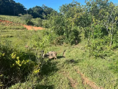 Lote/Terreno à venda, 24574m² no Penha, Bragança Paulista