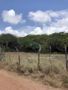Lote/Terreno à venda, 1321m² no , Tibau do Sul
