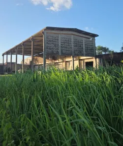 Galpão/Depósito/Armazém com 1 Quarto para venda ou aluguel, 2700m² no Vila Isabel (Anjo da Guarda), São Luís