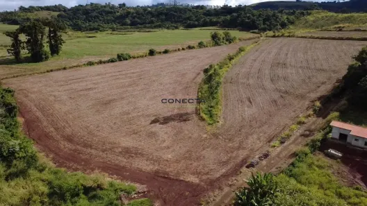Fazenda/Sítio à venda, 60500m² no Selva, Londrina