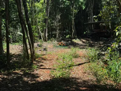 Lote/Terreno à venda, 25000m² no , Domingos Martins