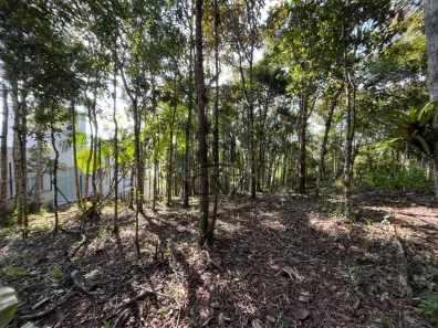 Fazenda/Sítio com 2 Quartos à venda, 6916m² no Aimoré, Guabiruba