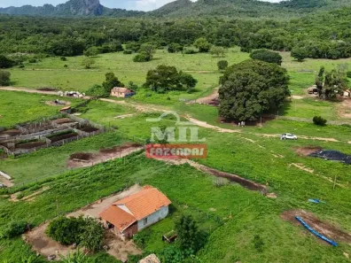 Fazenda/Sítio à venda, 1016000m² no , Natividade
