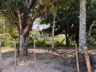 Lote/Terreno à venda, 1250m² no , Guaramiranga