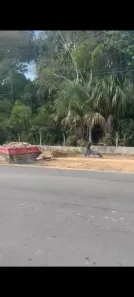 Lote/Terreno com 1 Quarto à venda, 3500m² no Ponta Negra, Manaus