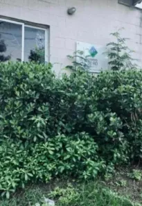 Apartamento com 2 Quartos à venda, 42m² no Rocha Sobrinho, Mesquita