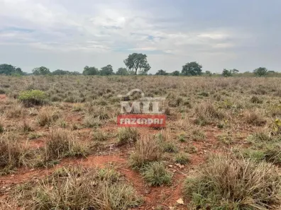Fazenda/Sítio à venda, 500m² no Setor Central, Goianorte