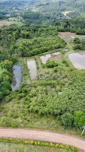 Lote/Terreno à venda, 22107m² no Rincão do Cascalho, Portão