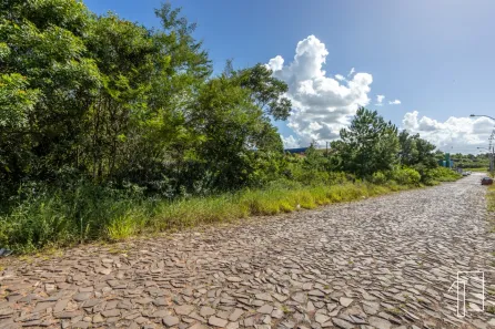 Imóvel Comercial à venda, 5392m² no Fazenda São Borja, São Leopoldo