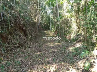 Fazenda/Sítio à venda, 20000m² no Freguesia da Escada, Guararema