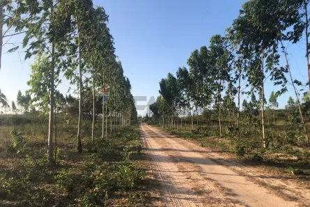 Lote/Terreno à venda, 380m² no , Cruz