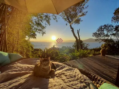 Lote/Terreno à venda, 5559m² no Jurerê Internacional, Florianópolis