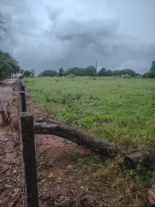 Fazenda/Sítio com 4 Quartos à venda, 121000m² no , Monte Santo de Minas
