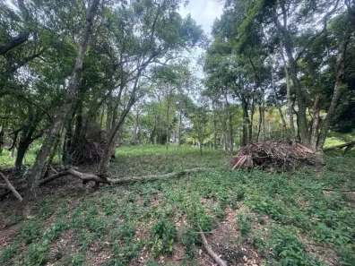 Lote/Terreno à venda, 1984m² no Caixa D´Água, Vinhedo