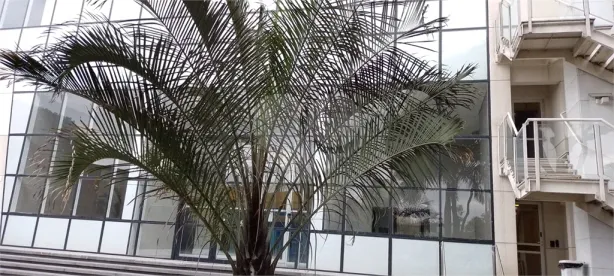 Apartamento com 2 Quartos à venda, 64m² no Jardim São Paulo(Zona Norte), São Paulo