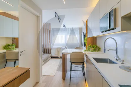 Apartamento com 1 Quarto para alugar, 29m² no Mont Serrat, Porto Alegre