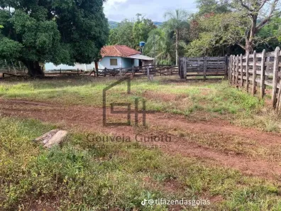 Fazenda/Sítio com 3 Quartos à venda, 580800m² no , Taquaral de Goiás