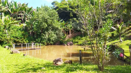 Fazenda/Sítio com 2 Quartos à venda, 7000m² no , Domingos Martins