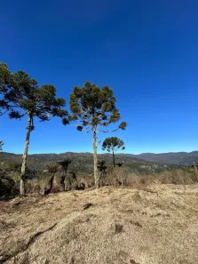 Lote/Terreno à venda, 20000m² no , Urubici