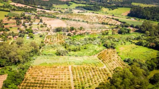 Fazenda/Sítio com 1 Quarto à venda, 96600m² no Mombuca, Itatiba