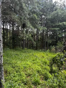 Lote/Terreno à venda, 420000m² no , Urubici