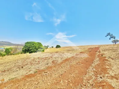 Fazenda/Sítio à venda, 16766m² no , São Simão