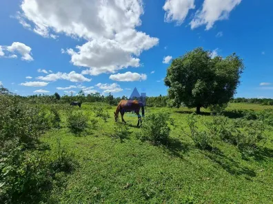 Fazenda/Sítio com 1 Quarto à venda, 10m² no Fazendinha, Araruama