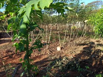 Lote/Terreno à venda, 360m² no , Martinópolis