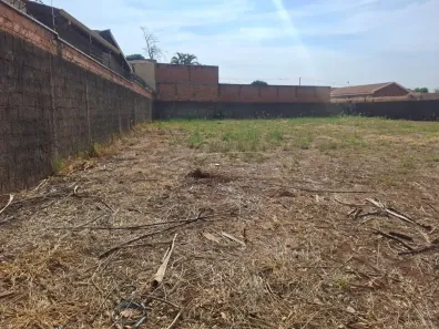 Lote/Terreno para alugar, 507m² no City Ribeirão, Ribeirão Preto