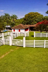 Fazenda/Sítio com 5 Quartos à venda, 82280m² no Área Rural de Hidrolândia, Hidrolândia
