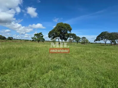 Fazenda/Sítio à venda, 500m² no , Itarumã