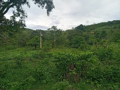 Fazenda/Sítio à venda, 100m² no , Ponto dos Volantes