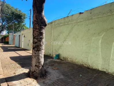 Lote/Terreno para alugar, 300m² no Jardim das Paineiras, Campinas
