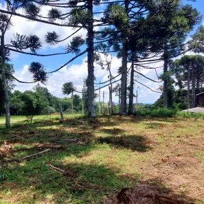 Lote/Terreno à venda, 1200m² no Tuiuti, Bento Gonçalves