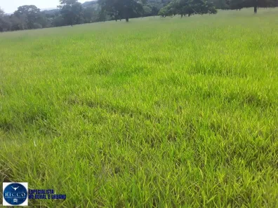 Lote/Terreno à venda, 11m² no Setor Central, Varjão