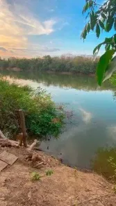 Fazenda/Sítio com 2 Quartos à venda, 130m² no , Acorizal