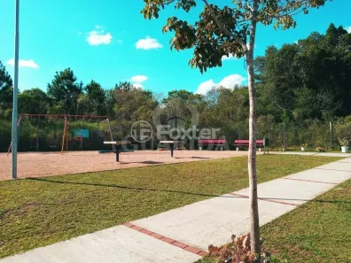 Lote/Terreno à venda, 125m² no Lomba do Pinheiro, Porto Alegre