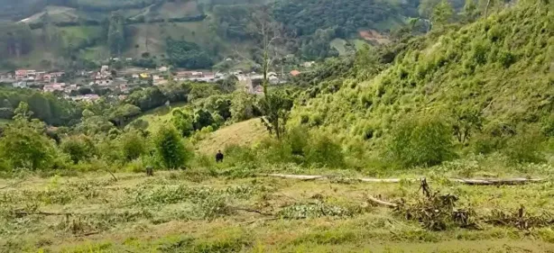 Lote/Terreno à venda, 1000m² no , Delfim Moreira