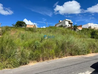 Lote/Terreno à venda, 444m² no Novo Centro, Santa Luzia