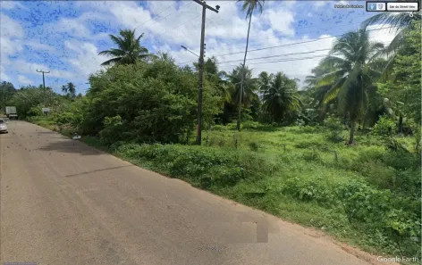 Lote/Terreno à venda, 40000m² no Centro, Touros