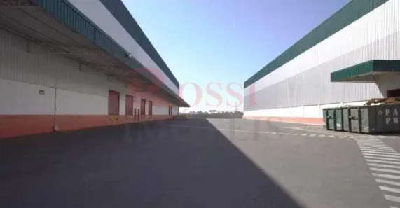 Galpão/Depósito/Armazém para alugar, 20000m² no Jardim Novo II, Rio Claro