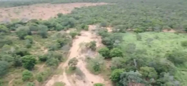 Fazenda/Sítio à venda, 1210000m² no , Arinos