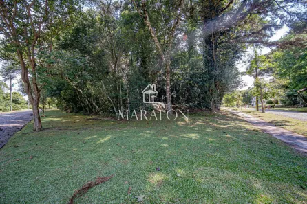 Lote/Terreno à venda, 830m² no Laje de Pedra, Canela