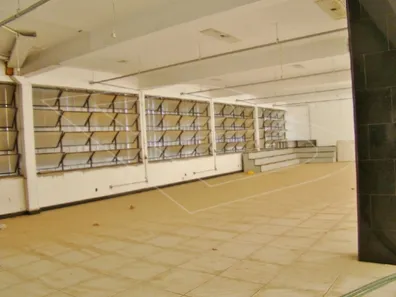 Galpão/Depósito/Armazém para alugar, 3000m² no Jardim Nereide, Limeira